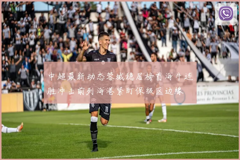 中超最新动态蓉城稳居榜首海牛连胜冲击前列海港紧盯保级区边缘