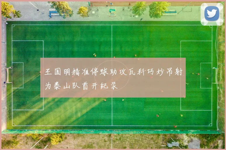 王国明精准停球助攻瓦科巧妙吊射为泰山队首开纪录