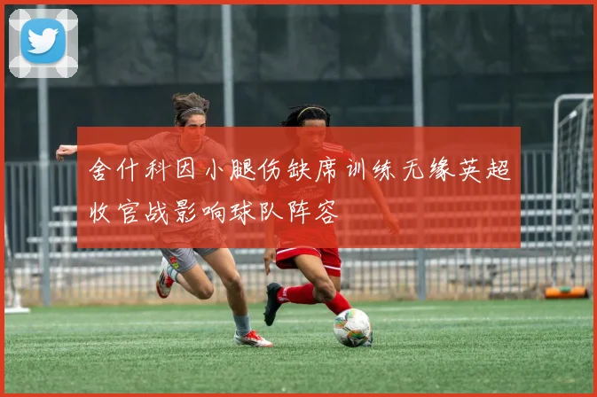 舍什科因小腿伤缺席训练无缘英超收官战影响球队阵容