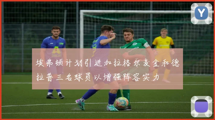 埃弗顿计划引进加拉格尔麦金和德拉普三名球员以增强阵容实力