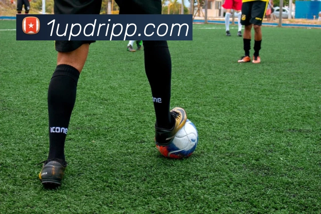 未来规划