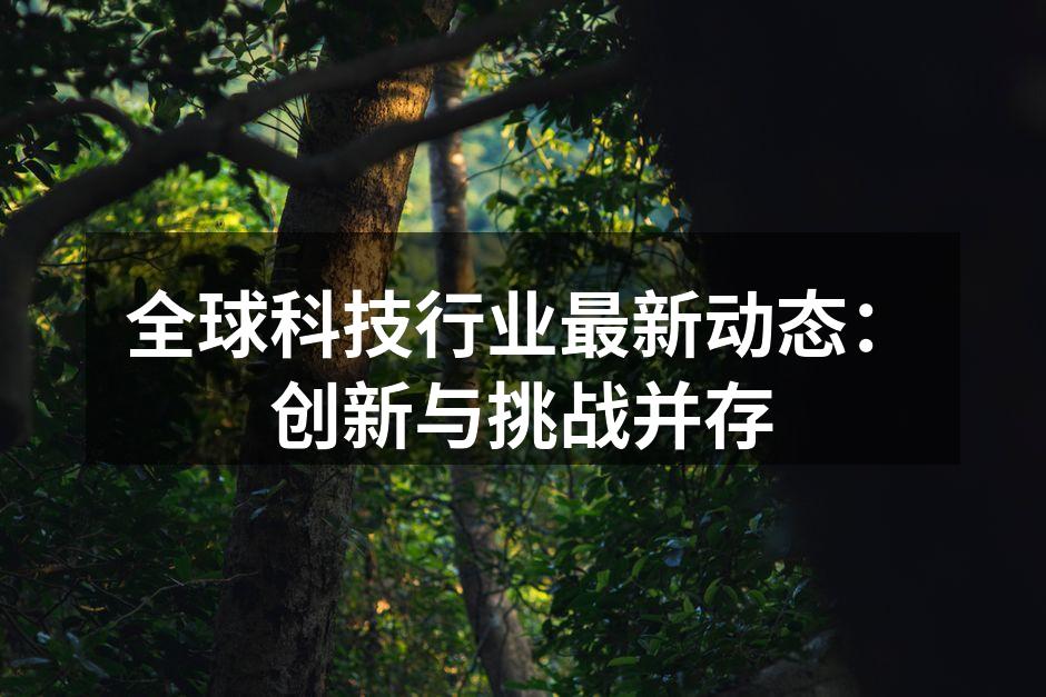 全球科技行业的创新探索